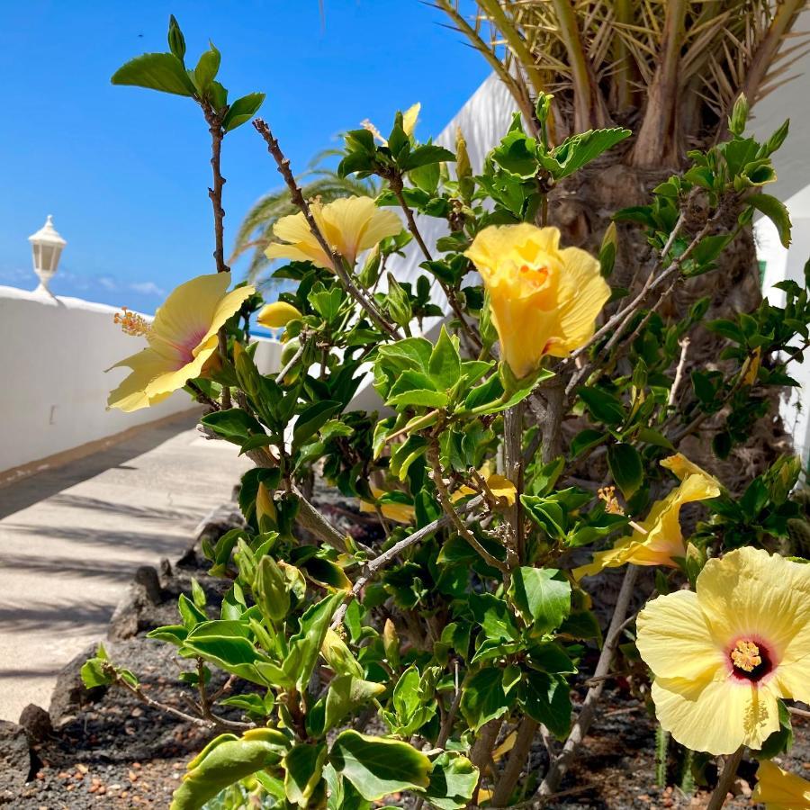 Apartamento La Concha Seaview Direct At The Beach & Sea El Cotillo  Экстерьер фото